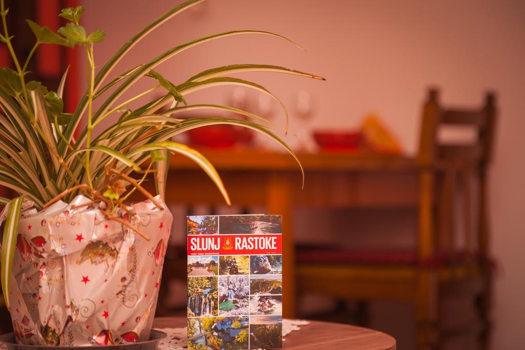 Apartment Zalac Slunj Buitenkant foto